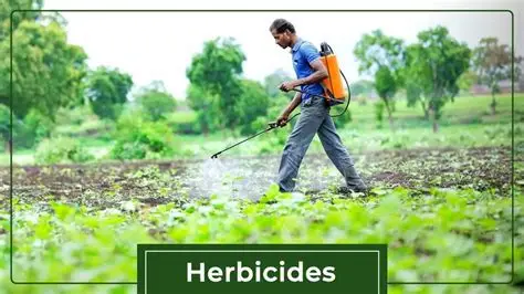 Herbicides & Fungicides