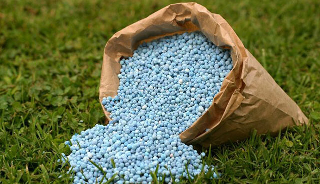 Organic Fertilizer 50kg