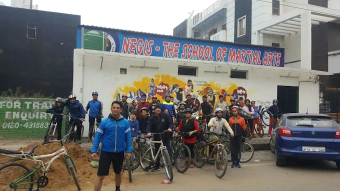 Negis The School Of Martial Arts