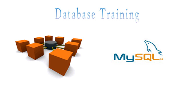 Database Training