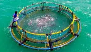 Aquaculture & Fisheries Market